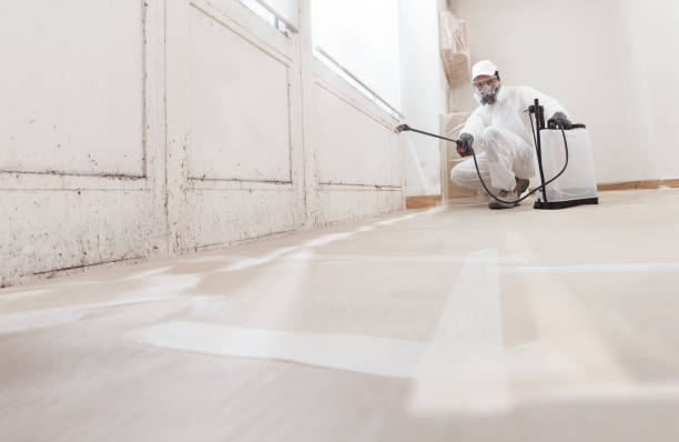 24/7 Emergency Commercial Mold Remediation experts in Wycombe, PA